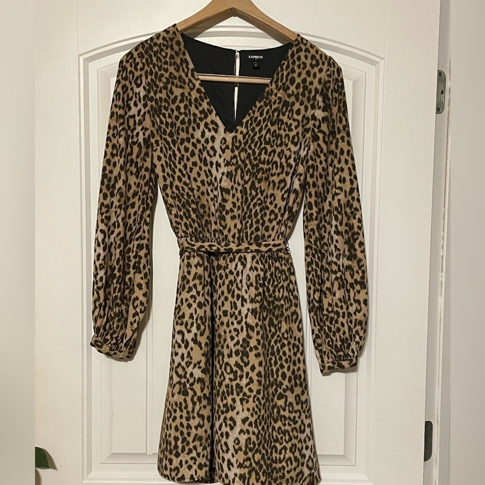 Express belted animal print dress